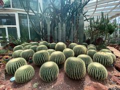 -昆明植物园