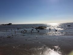 -老虎石海上公园