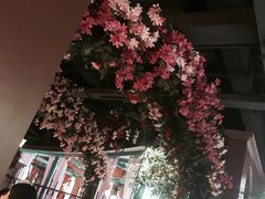 -沪小胖小龙虾(淮海中路旗舰店)