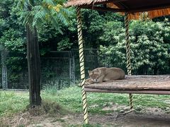 -西安秦岭野生动物园