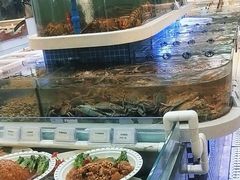 -大众海鲜(巨龙北路店)