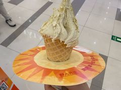 -野人先生Gelato(上海长宁龙之梦店)