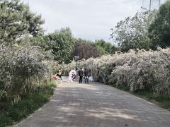 -老君堂公园