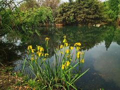 -贵阳市花溪国家城市湿地公园