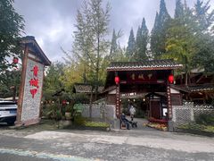 -青城甲(青城山店)