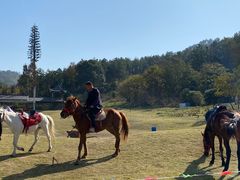 -黄陂区野村谷景区