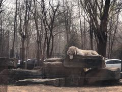 -秦皇岛野生动物园