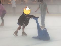 -世界之窗阿尔卑斯冰雪世界
