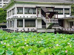 -荔湾湖公园