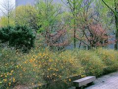 -山东师范大学(千佛山校区)