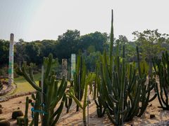 -东莞植物园