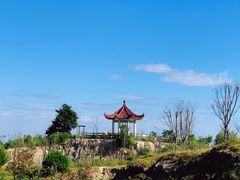 -军营村