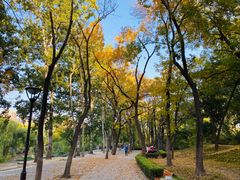 -元大都城垣遗址公园