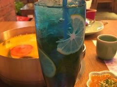 -海桐