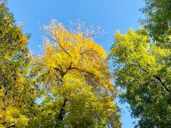 -元大都城垣遗址公园