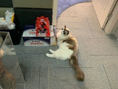 -零纪元VR体验馆·桌游(黄浦店)