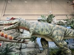 -国家自然博物馆