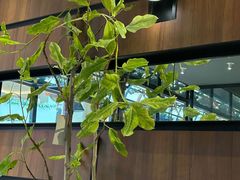 -西堤牛排(南京龙江店)