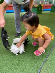 -萌宠亲子动物乐园(槐房万达店)