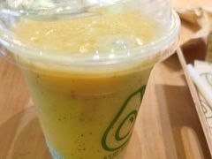 -油梨树AVOCADO TREE(望京店)