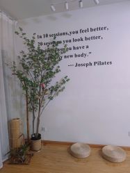 -彤竹瑜伽普拉提馆·女子孕产健身会所