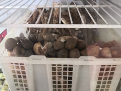 -双喜农庄·菌香园(安居家园店)