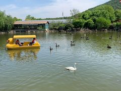 -无锡动物园·太湖欢乐园
