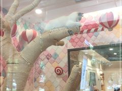 -袖虎·猫馆(体育西路店)