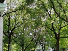 -同济大学(嘉定校区)