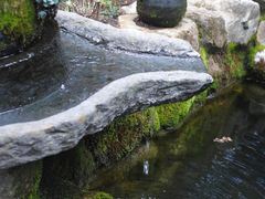 -寂照庵