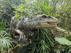 -海南热带野生动植物园