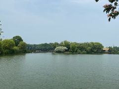 -苏州太湖国家湿地公园