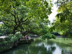 -西溪国家湿地公园