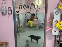-三花喵·撸猫购宠·宠物生活馆(虹桥南丰城店)