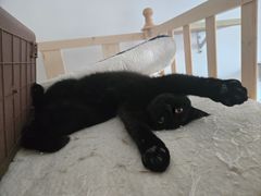 -台北风味(第一家快餐)