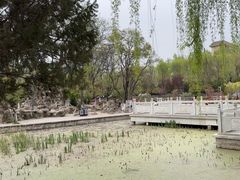 -莲湖公园