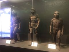 -北京周口店北京人遗址博物馆