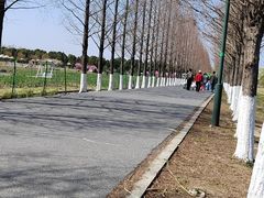 -嘉北郊野公园