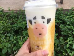 -一只酸奶牛(时代天街A馆店)