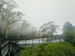 -悉尼蓝山三姐妹峰