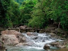 -广州白江湖森林公园