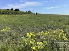 -五角枫生态旅游景区