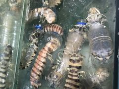 -三个渔夫·蒸汽海鲜(小白楼店)