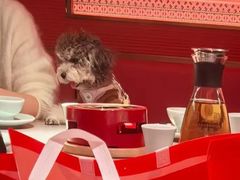 -闽上鲜·福建菜(龙湖滨江天街店)