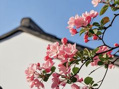 -上海交通大学(闵行校区)