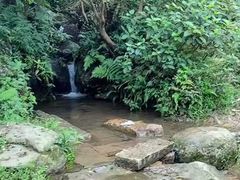 -大姆山草场