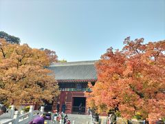 -香山公园
