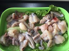 -蚝专家