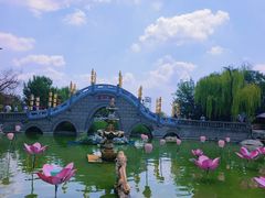 -中国翰园碑林