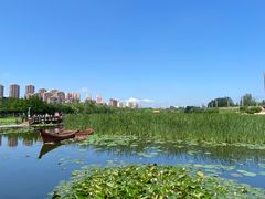 -前关湿地公园